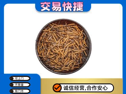 文山礼品回收虫草.jpg